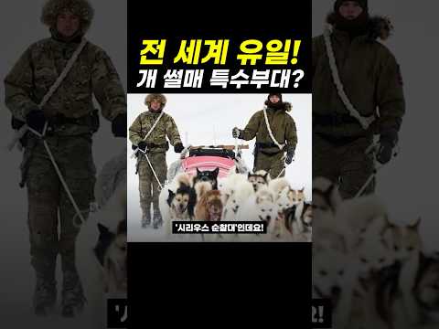 <strong>세계에서</strong> 가장 신기한 특수부대?
