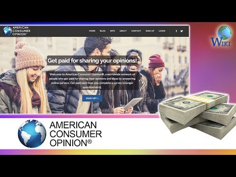 American Consumer Opinion: 5 Fast Facts - UCXAHpX2xDhmjqtA-ANgsGmw