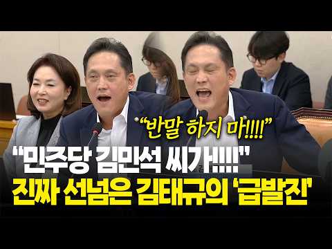 "민주당 김민석 씨가!!" 진짜 선 넘은 김태규의 '급발진' / 국회 법사위