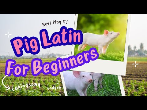 Pig Latin For Beginners! (Split Fiction)
