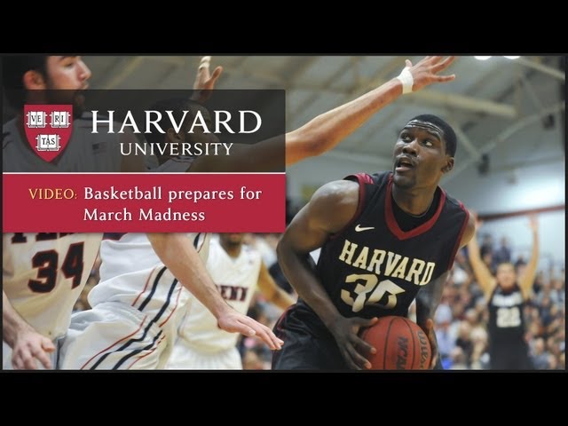 Harvard Basketball Game: What to Expect