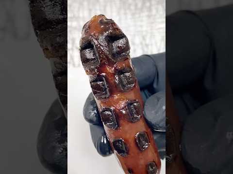 賛否両論だった焼きカルパスを最新AIにも作らせてみた【リクエスト】 #shorts