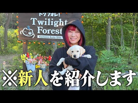 キャンプ場に可愛い子犬がやってきたんだが！