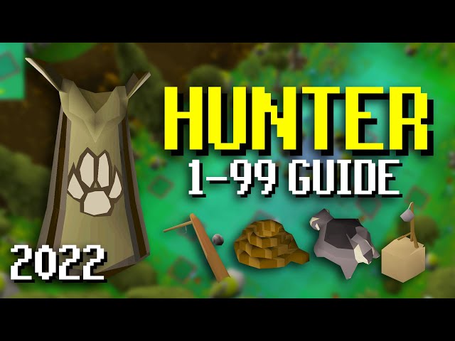 OSRS Hunter Training Guide [2022]: Best Methods To Level 99