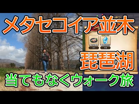 ドラクエウォーク433【当てもなくお土産求めてウォーク旅！滋賀県！メタセコイア並木、琵琶湖周辺でお土産ゲット！】