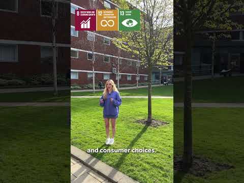 Coursework for Change - Alexandra Nickel
