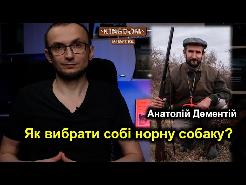 Як вибрати собі норну собаку?