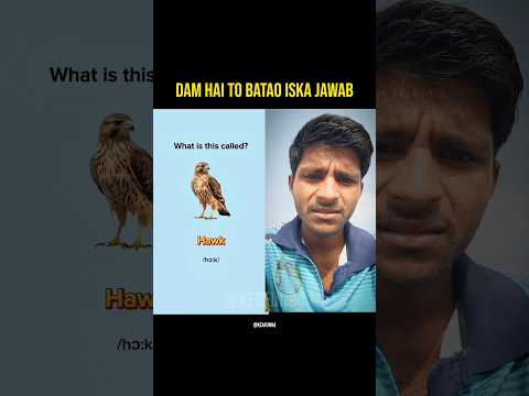 दम है तो जवाब दो || #qk #viral #shorts