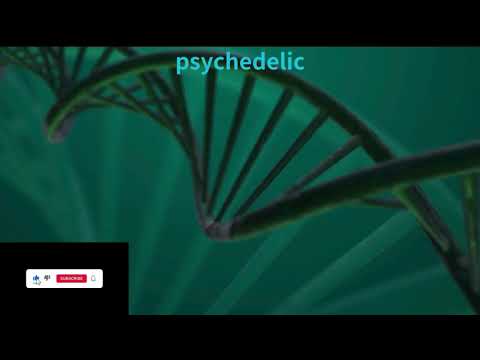 【DMT Rainforest】full