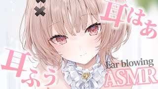 【asmr】久々の耳ふーで脳みそからリラックスASMR💤/Ear blowing 【戸鎖くくり/個人勢Vtuber】