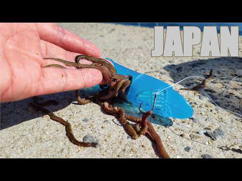 カゴに大量の虫を入れ海に投げ込んだ結果が恐ろしくて無言