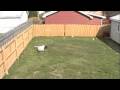 BackyardDodgeball
