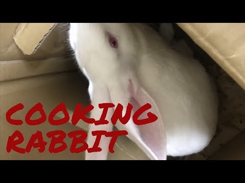 토끼 요리하기 - How to cook a rabbit #김치그릴스#Kimchigrllys#토끼요리#토끼