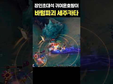 롤 승률 100% 조합 ㅁㅊㅋㅋ