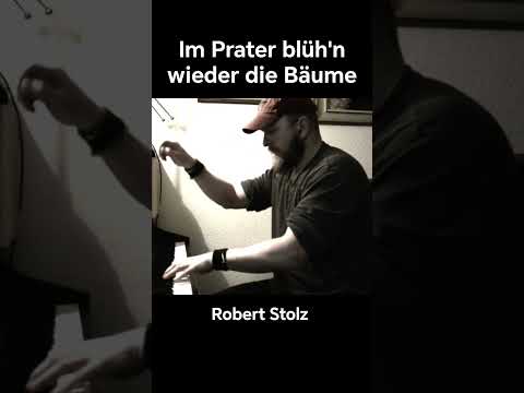 Robert Stolz - Im Prater blüh'n wieder die Bäume (meine persönliche Interpretation)