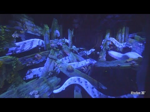 [4K] Tokyo Disney Submarine Ride - 20,000 Leagues Under the Sea Ride - Tokyo DisneySea - UCbDGvfJHf0r_WjS9voB8POA