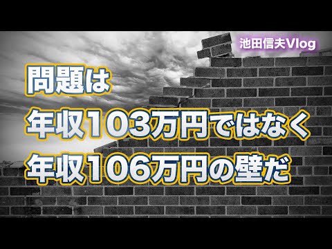 【Vlog】問題は年収103万円ではなく年収106万円の壁だ