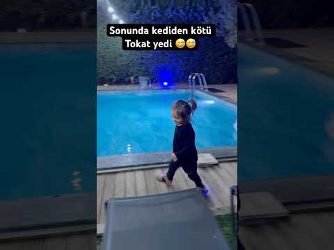 #kedi #baby #keşfet #viralvideo