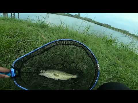 筑後川〜久留米大橋下バス釣り