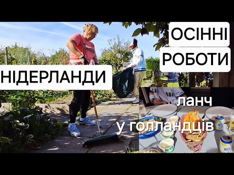 НІДЕРЛАНДИ 🇳🇱 БІЖЕНЦІ НА АРЕНДОВАНІЙ ДАЧІ | В гостях у голландців #нідерланди #дім #голландці