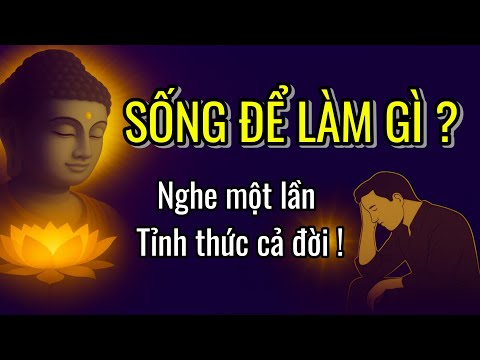 Phật Dạy: Bạn Đang Sống Vì Điều Gì? – Lời Thức Tỉnh Cho Tâm Mệt Mỏi