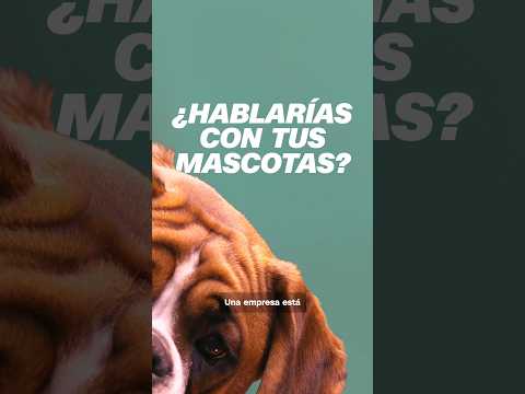 ¿Es posible hablar con tu mascota usando IA?