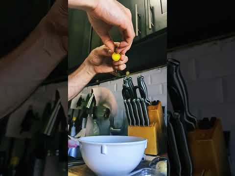 Cracking a Quail Egg Open ASMR