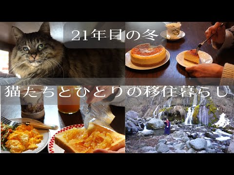 【🍃189話】60代冬の手間仕事・気持ちが落ち着く柚子ジャム作り/１月の吐竜の滝から/ついでに柚子チーズケーキも作りました/猫８匹と一人の、八ヶ岳南麓移住物語/田舎暮らし21年目