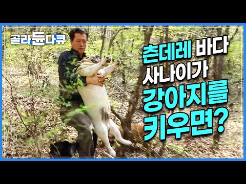 “개 죽으면 대성통곡한다” 이 말 뜻을 이제 알 것 같아요 | 웃을 일이 없던 남자의 웃음 버튼, 내 자식같은 개와 사는 기쁨 | 한국기행 | #골라듄다큐