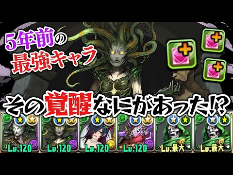 もはや大当たり枠では無くなったヴラスカさん、ヒーラーになる【パズドラ】