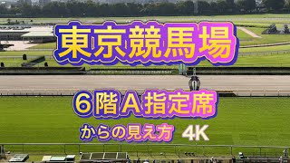 東京競馬場6階A指定席からの見え方2