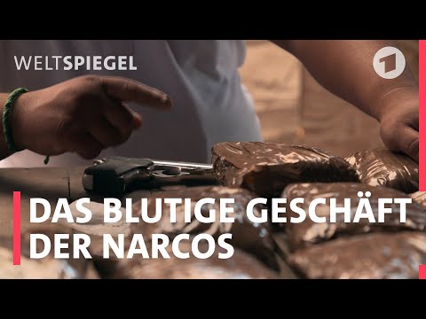 Wer sind die Narcos?  Einblicke in das blutige Business der Kartelle