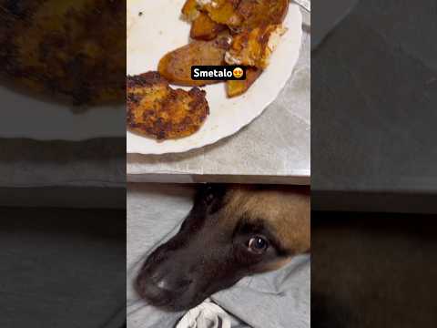 Smetalo Don me gleda dok Jedem! *preslatko*