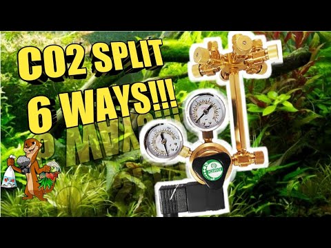 Aquatek CO2 Splitter | Running CO2 to Multiple Aqu CO2 Splitter | Running CO2 to Multiple Aquariums Using a Single CO2 Tank!!!

In this video I wanted 