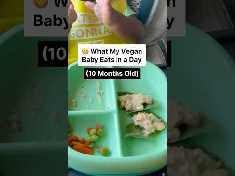 What My Vegan Baby Eats in a Day (10 Months Old) 🌱 Episode 16