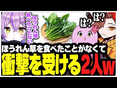 るなさんがほうれん草を食べたことがなくて衝撃を受けるありさかさんたちww【ありさか/CR/雑談/切り抜き】