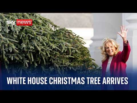 US First Lady Jill Biden receives the White House Christmas Tree