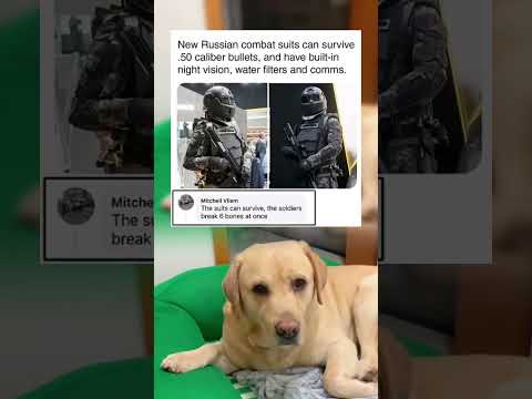 #memes #story #dog #shorts #pets