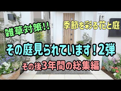 【庭掃除②】スリットの雑草対策!まっると3年間の庭手入れ