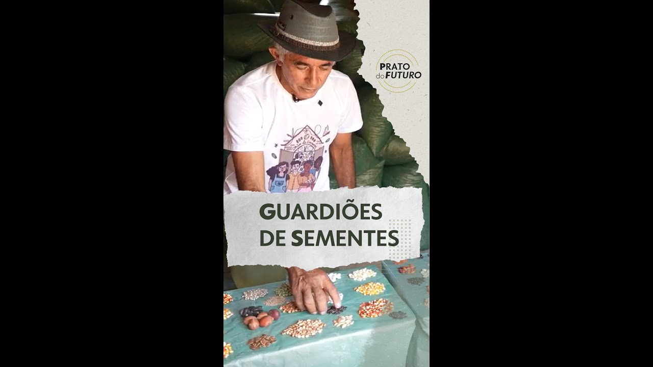 Guardiões de sementes adaptam grãos para enfrentar seca e garantir alimentos no sertão de PE | #g1