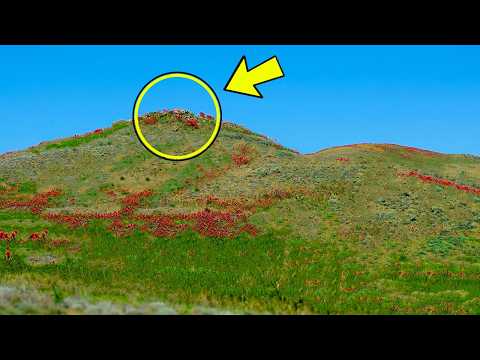 This Photo Shocks The Entire Internet! — Just Watch What The Drone Discovers!