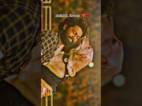 animal lover ❤️😍 #viral #shorts #shortsfeed #Instagram viral short street dog 🐕🙏 please support me 🙏