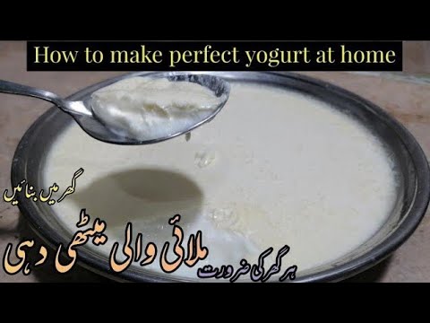 Dahi Jamane ka Sahi tareeka Halwai jaisa |Yogurt. Homemade thick yogurt. How to make perfect yogurt.