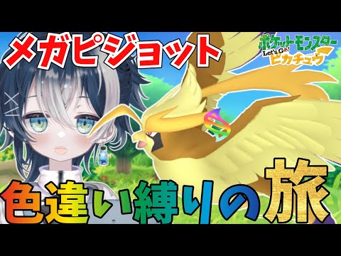 【色旅】序盤鳥ポケモン代表のピジョットの色違い厳選するぞー！！メガシンカさせたい！【#ピカブイ 】【#ポケモン 】【#vtuber 】#shorts