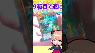 青眼狙うも8箱スカして頭がおかしくなった時！光るカードが！！【遊戯王マスターデュエル】