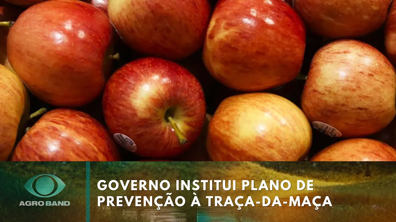 Giro Brasil recorde de população no agronegócio e traça da maça