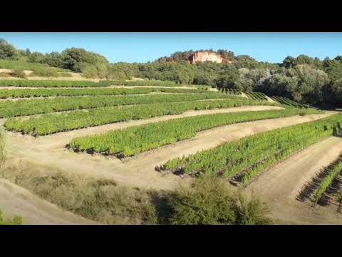 El Festival Internacional de Cine del Vino repasa la evolución la publicidad del sector