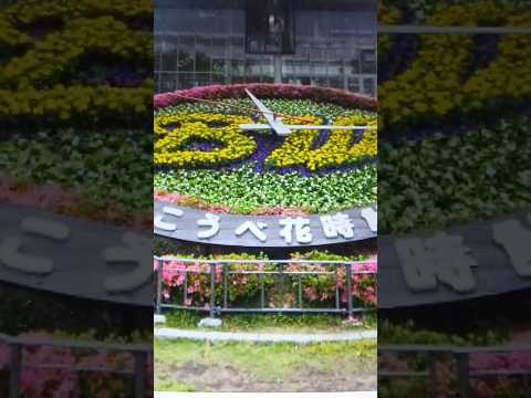 25 思い出神戸のちょこっと西と東😆🎵✨