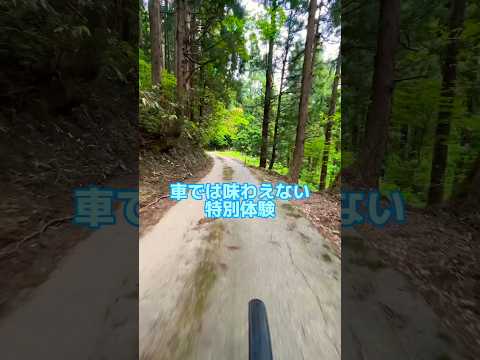 富山でも冒険できたんだ⁉︎立山町のマウンテンバイクツアーがすごい!