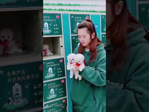 #All My Pets, One Big Hug#Caught with a Handful of Happiness#Fluffy Squad Goals